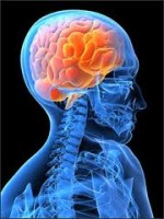 Degeneratívne ochorenia mozgu a miechy