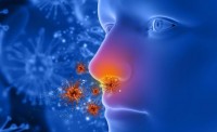 Alergická rinitída – alergická nádcha