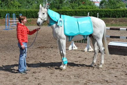 Biomag Lumina VET VS