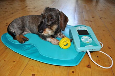 Zostava pre veterinu - Biomag Lumina VET Comfort P2